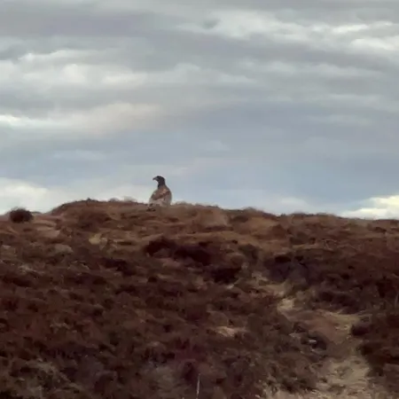 Atlantis With Sauna And Great Views * Vevang