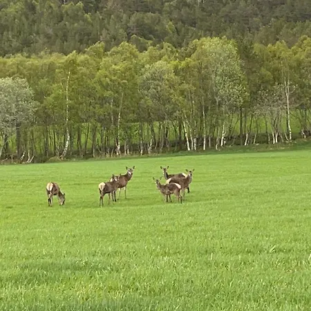 Atlantis With Sauna And Great Views * Vevang