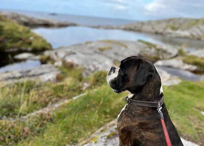 Hébergement de vacances Atlantis With Sauna And Great Views