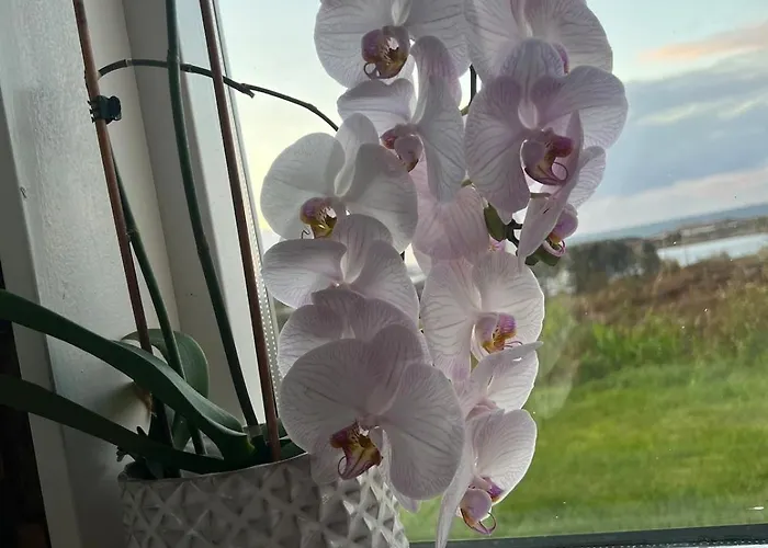 Atlantis With Sauna And Great Views Hébergement de vacances *