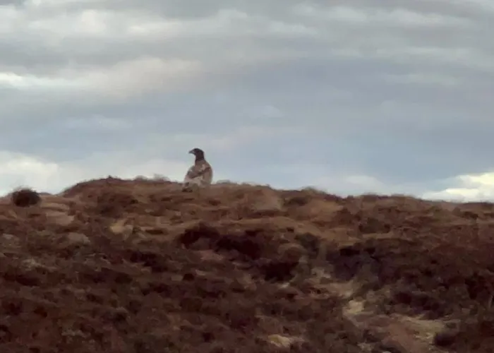 Atlantis With Sauna And Great Views * Vevang