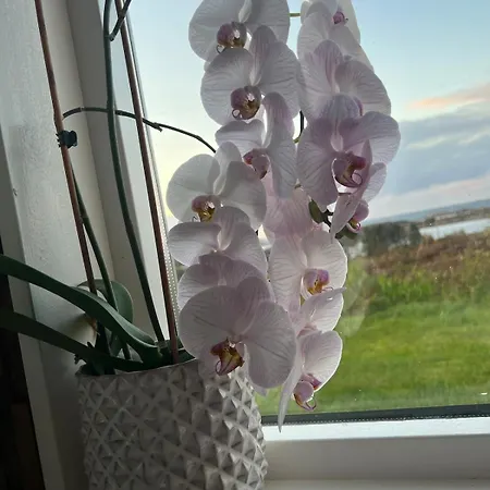 Atlantis With Sauna And Great Views 度假居 *